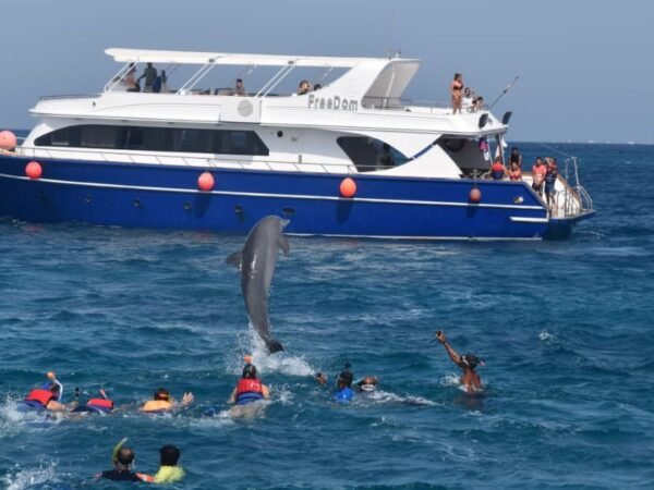 Dolphin House Snorkeling Sea Trip Ultimate Adventure
