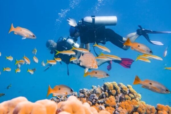 Intro Diving for Beginners 2 Stops Diving  Hurghada