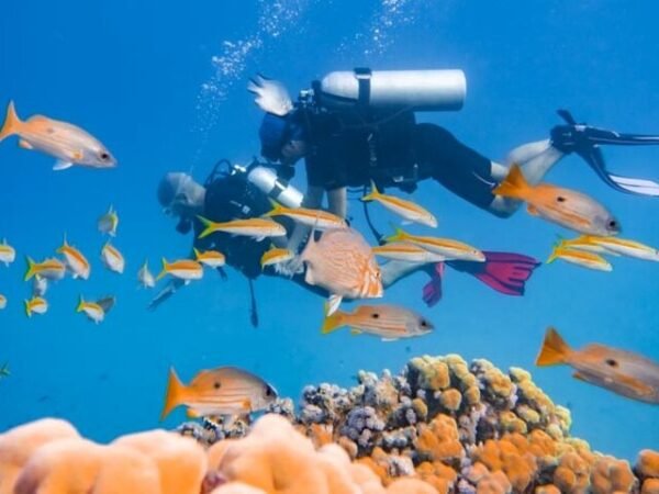 Intro Diving for Beginners 2 Stops Diving  Hurghada