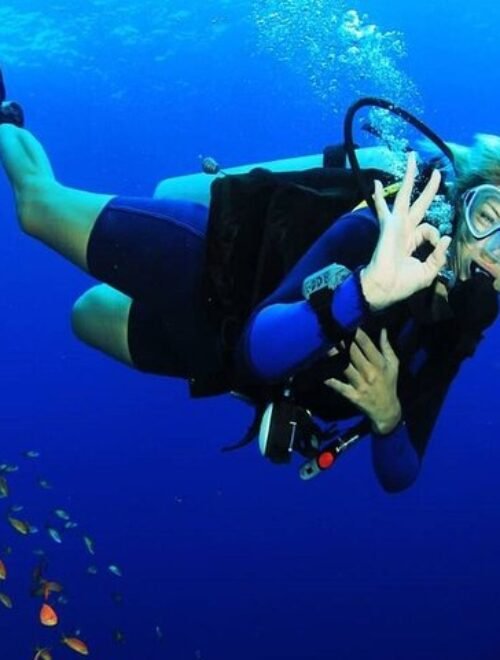 Full-Day Scuba Diving Tour with 2 Sites & Lunch | Private or Small Group Option