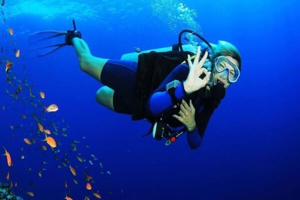 Full Day Scuba Diving Trip in Hurghada – 2 Dives with Lunch & Hotel Transfer