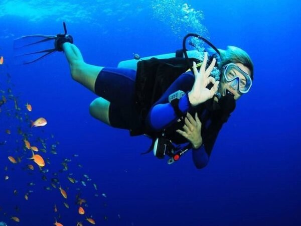 Full Day Scuba Diving Trip in Hurghada – 2 Dives with Lunch & Hotel Transfer
