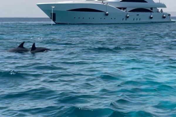 Hurghada Private VIP Yacht Full Day or Sunset Cruise | Luxury Snorkeling & Dinner 2026