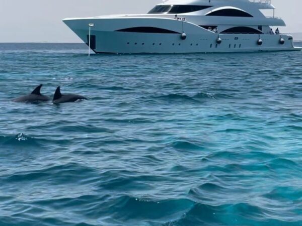Hurghada Private VIP Yacht Full Day or Sunset Cruise | Luxury Snorkeling & Dinner 2026