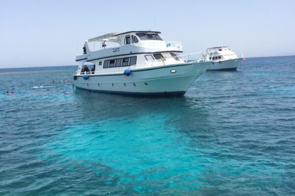 Private Speedboat Trip – Hurghada