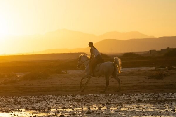 Horse Riding Desert