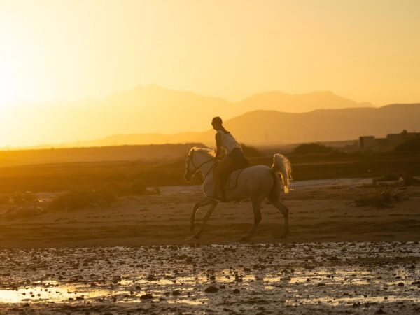 Horse Riding Desert