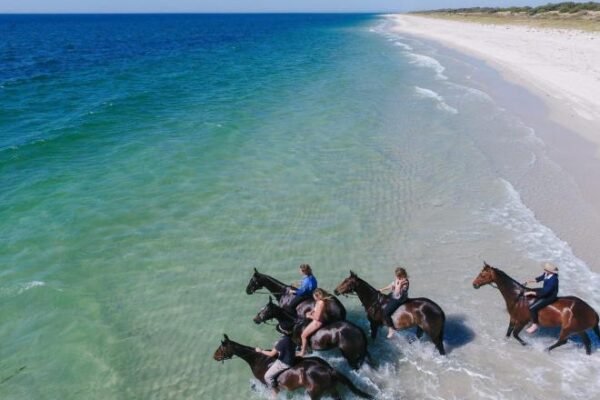 Horse Riding Sea