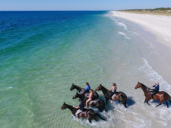 Horse Riding Sea