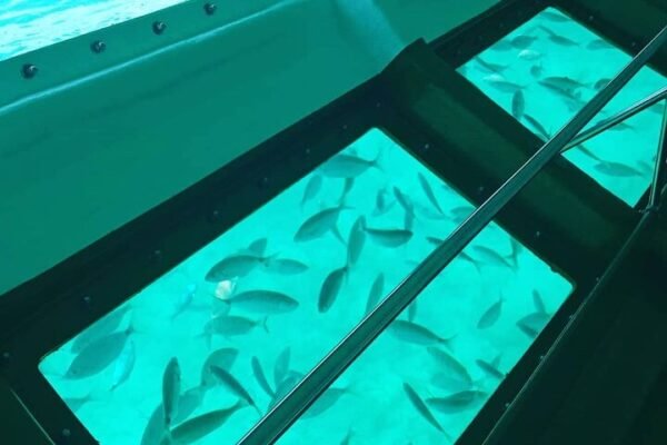 Hurghada Glass Bottom Boat Tour | Easy Coral Reef Viewing for Families