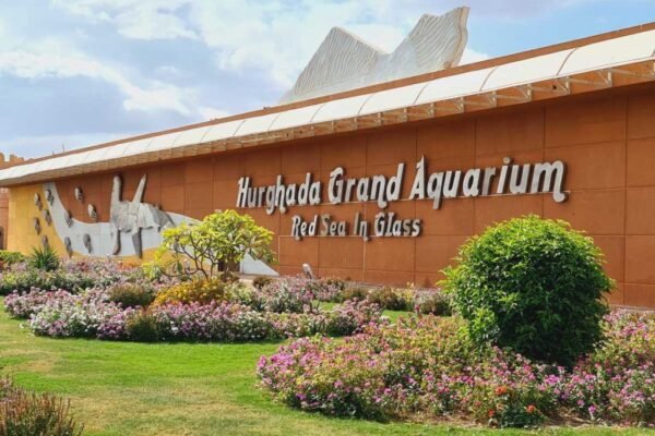 Hurghada Grand Aquarium | Largest Red Sea Tunnel & Dolphin Show Experience 2026