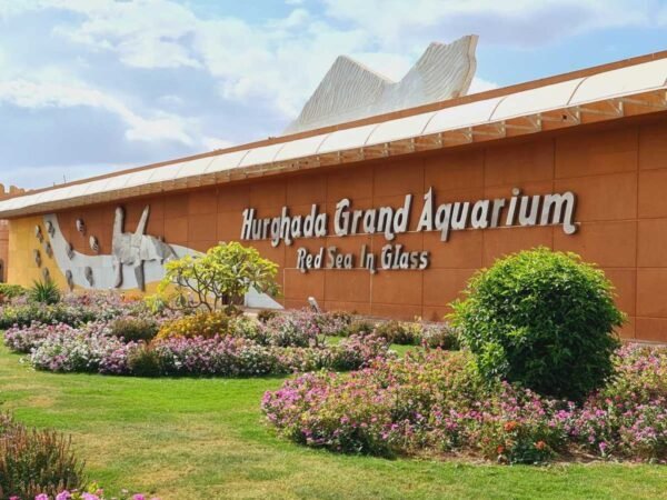 Hurghada Grand Aquarium | Largest Red Sea Tunnel & Dolphin Show Experience 2026