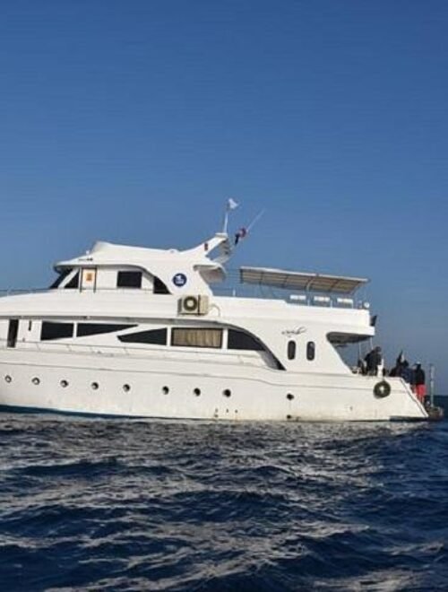 Hurghada Half-Day Reef Fishing Experience | Family-Friendly Coastal Fishing