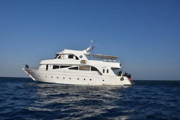 Hurghada Half-Day Reef Fishing Experience | Family-Friendly Coastal Fishing