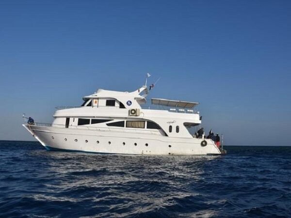 Hurghada Half-Day Reef Fishing Experience | Family-Friendly Coastal Fishing