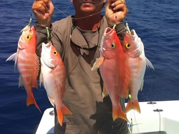 Hurghada Full-Day Fishing Boat Trip with Buffet Lunch & Drinks | Shared or Private